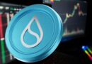 SUI Crypto Surges 30 Percent Amid Growing Meme Coin Momentum