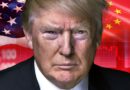 How Trade Wars Are Driving Investor Recalibration Instead of Collapse