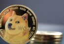Top Undervalued Cryptos: Cardano, Dogecoin, and Remittix Analyzed