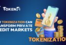 Boosting Growth in Tokenized Credit Market Through Cross-Border Payments