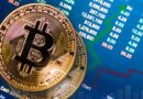 Divided Crypto Camps Shape the Future of Digital Currency