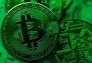 Bitcoin Surges 6.2% to Reclaim $94K in 24 Hours