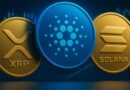 This Altcoin Could 100x as Solana and Cardano Lag Behind