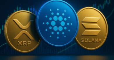 This Altcoin Could 100x as Solana and Cardano Lag Behind